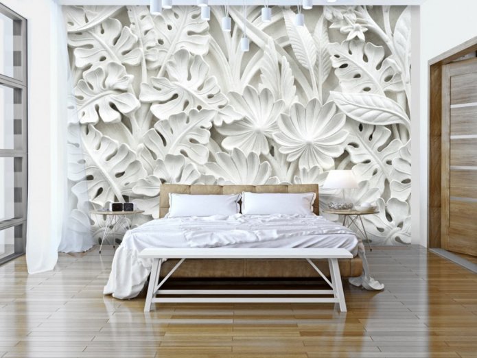 piante di gesso