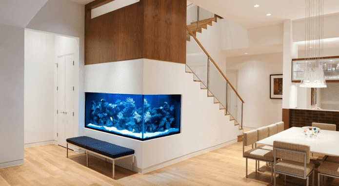 Acquario