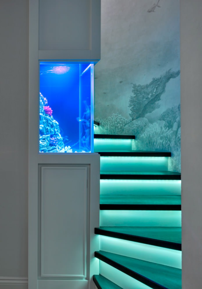 Acquario