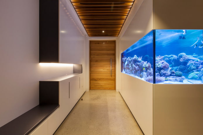 interno del corridoio con un acquario