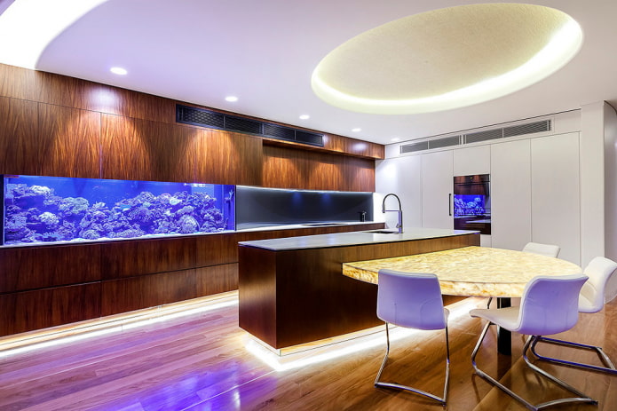 interno cucina con acquario