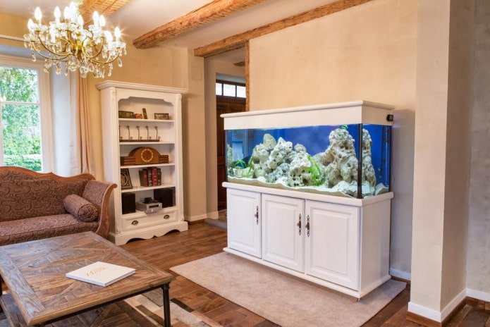 interno con acquario da pavimento