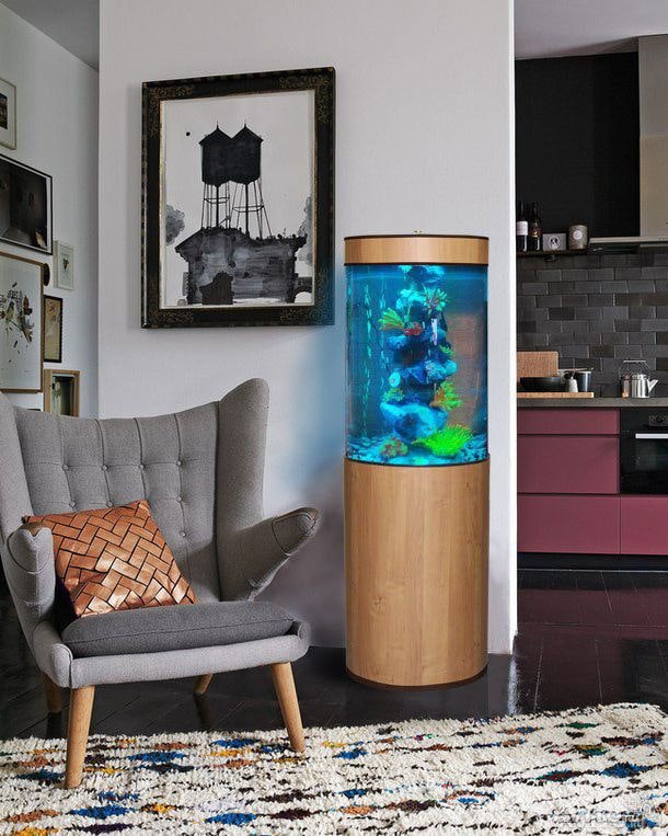 forme e dimensioni dell'acquario