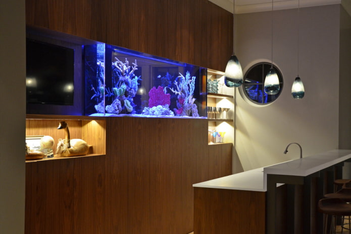 interno cucina con acquario