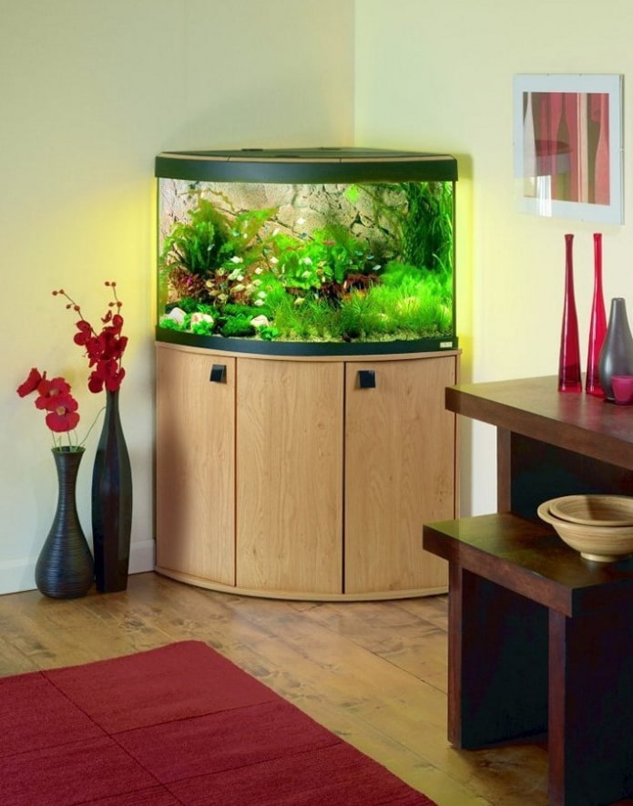 forme e dimensioni dell'acquario