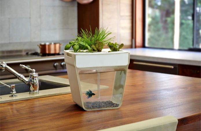 decorazione per acquario di design