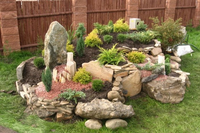 dove posizionare un giardino alpino