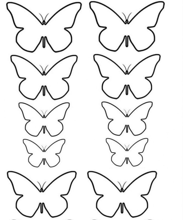 modello di farfalle di diverse dimensioni