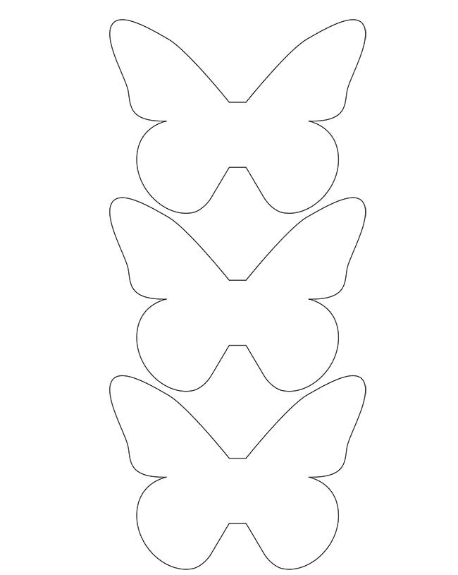 modello di farfalle di una dimensione