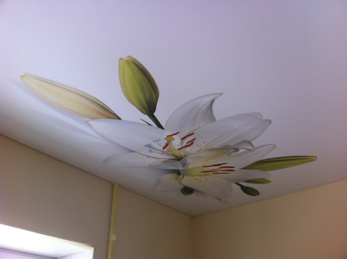 soffitto teso bianco con fiori