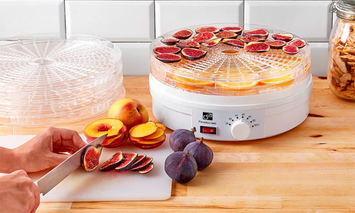 Essiccatore di frutta