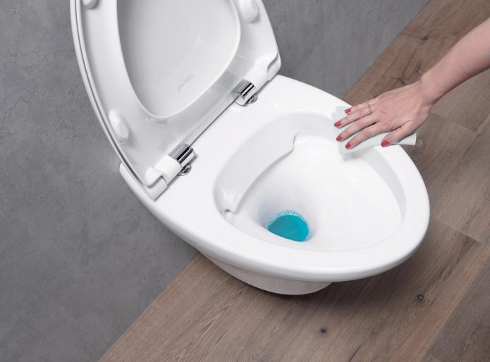 donna che pulisce un water senza brida
