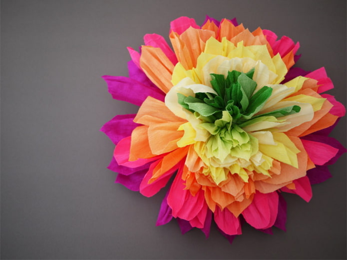 Grande fiore multicolore