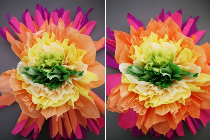 Formazione di un fiore
