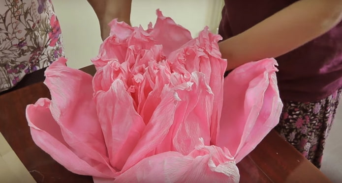Formazione di un fiore