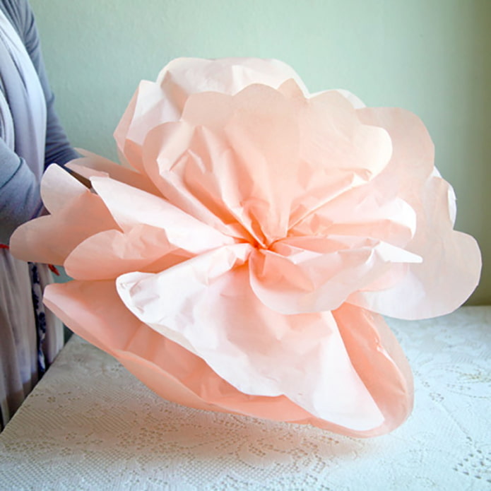 Raccolta del fiore 2