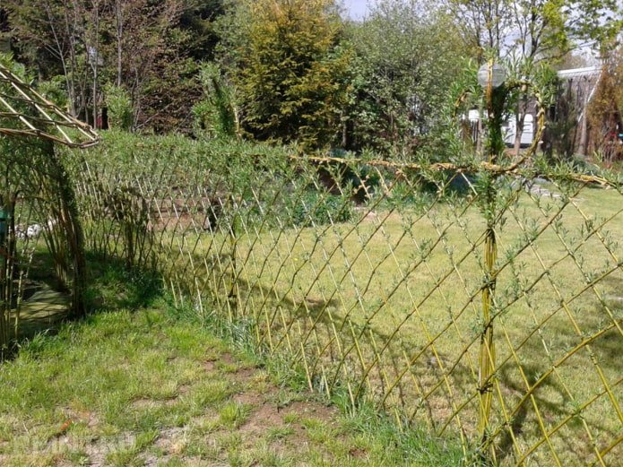 Recinzione in salice
