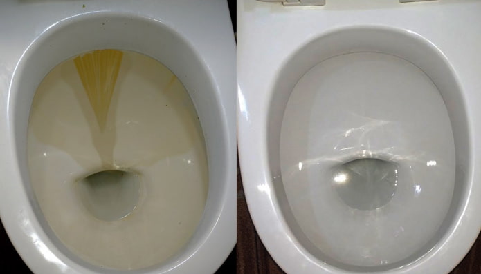 WC prima e dopo la pulizia con Domestos
