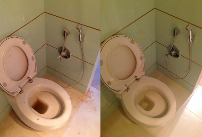 WC prima e dopo la pulizia con la polvere Sarma