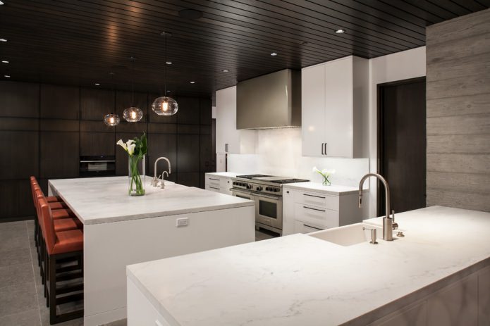 design cucina in bianco e nero