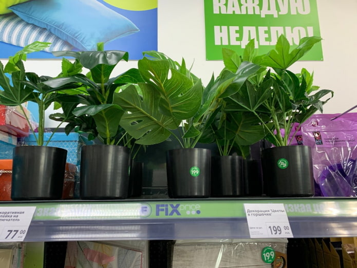 Piante artificiali