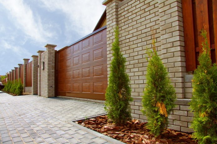 thuja fuori casa