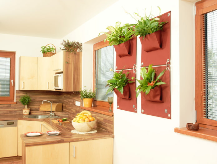piante sulla parete nell'interno della cucina