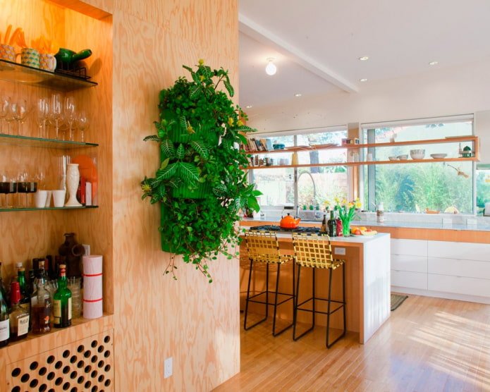 piante sulla parete nell'interno della cucina