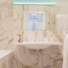 Come organizzare l'interno di un piccolo bagno?-1