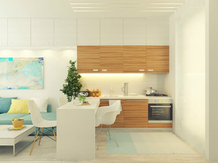 Progetto di design di uno studio di 29 mq.