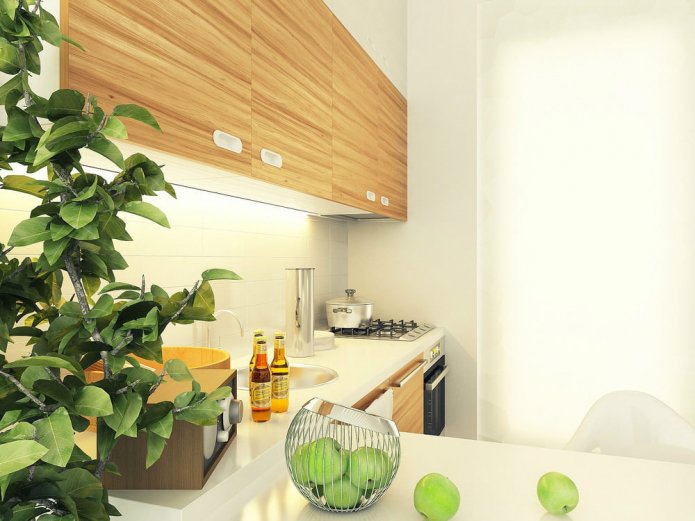 cucina nel progetto di progettazione di uno studio di 29 mq.
