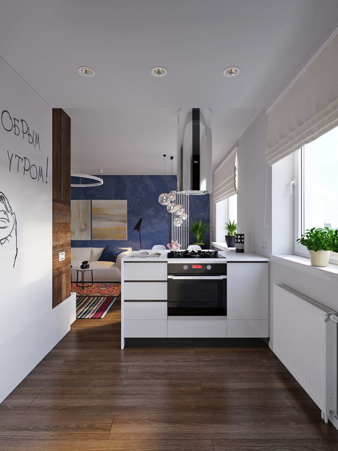 cucina nel progetto di un appartamento di 31 mq.
