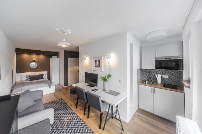 Cucina, soggiorno e camera da letto in un unico ambiente