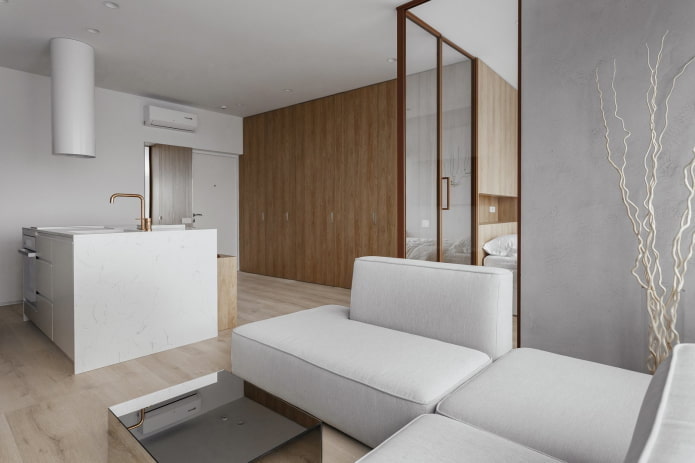 Appartamento di 40 metri quadrati in stile minimalista