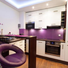 Progetto di piccola cucina con bancone bar-1