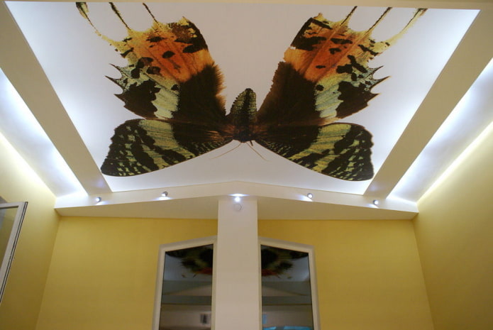 soffitto con farfalla