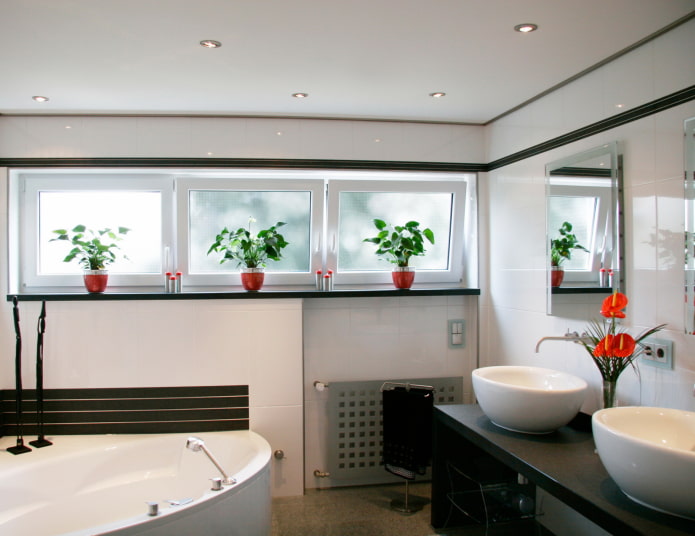 finestre smerigliate nel bagno