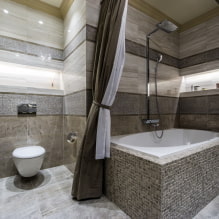 Interno di un bagno combinato con un WC-0