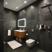 Interno di un bagno combinato con un WC-1