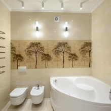 Interno di un bagno combinato con WC-8