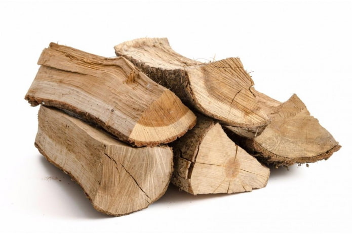 Ceppi di quercia