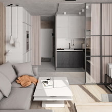 Caratteristiche del design dell'appartamento Euro-2-room-4