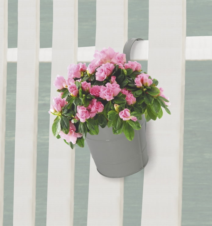 Vaso per fiori sulla recinzione