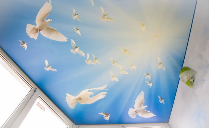 soffitto teso blu con stampa fotografica