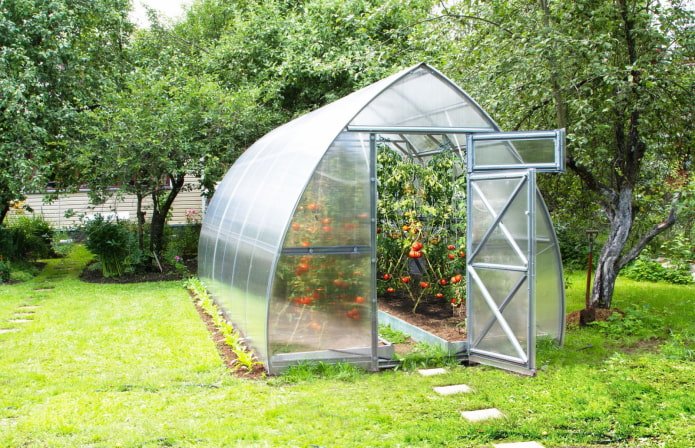 serra con pomodori in campagna