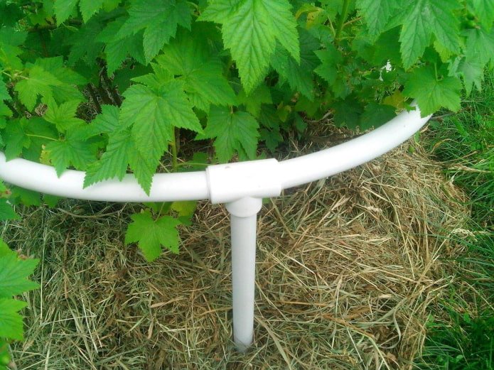 supporti per cespugli