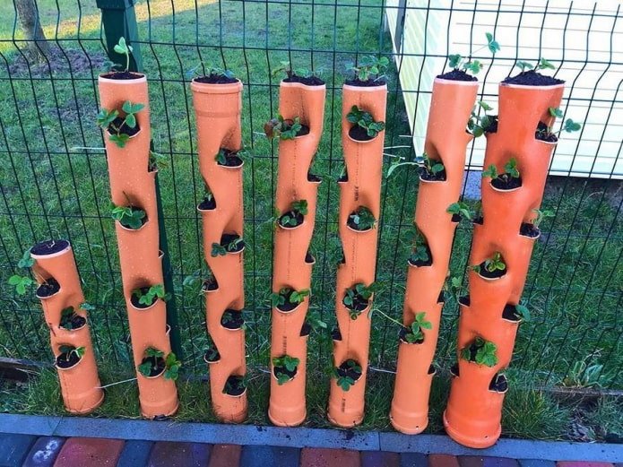 aiuole verticali