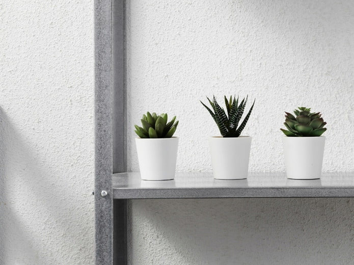 succulente di plastica
