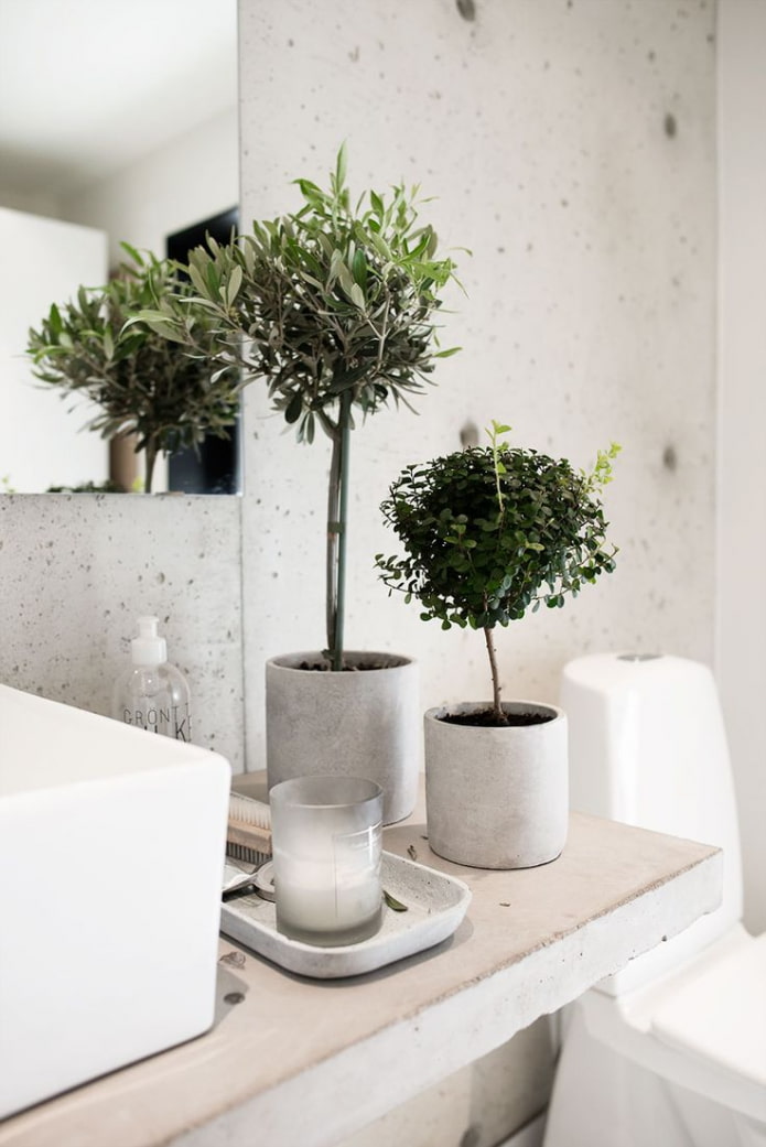 ficus di plastica in bagno