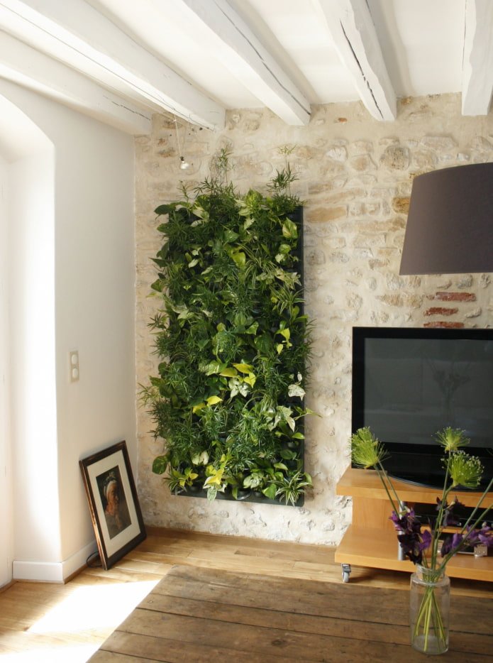 phytowall vicino alla TV